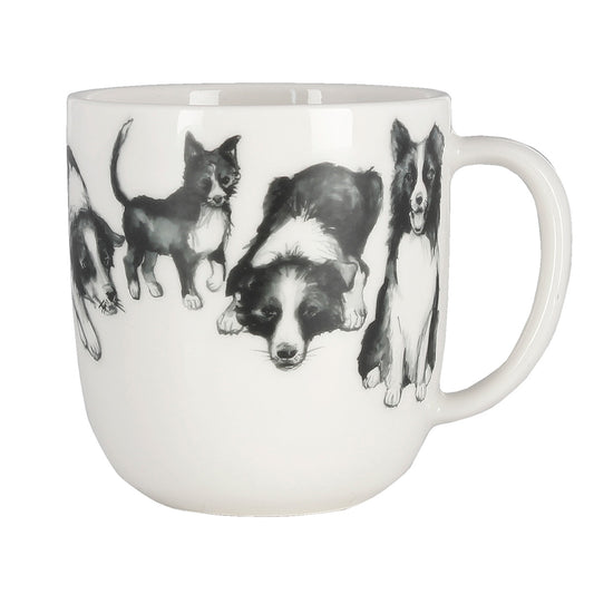 Border Collie muki 3 dl